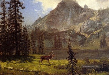 Albert Bierstadt Werke - Call of the Wild Albert Bier